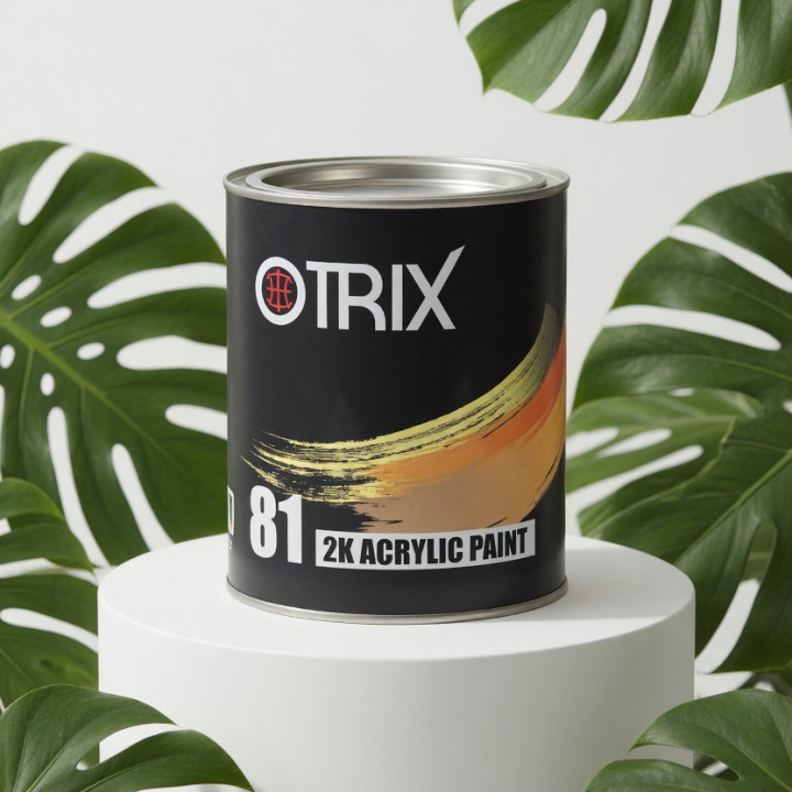 Otrix 81 Эмаль акриловая 2К Acrylic Paint